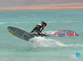 Windsurfer